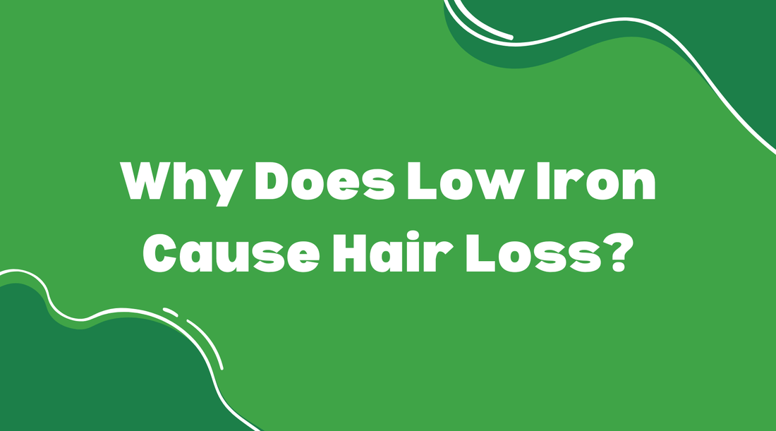 Why Does Low Iron Cause Hair Loss? - Smart Eats