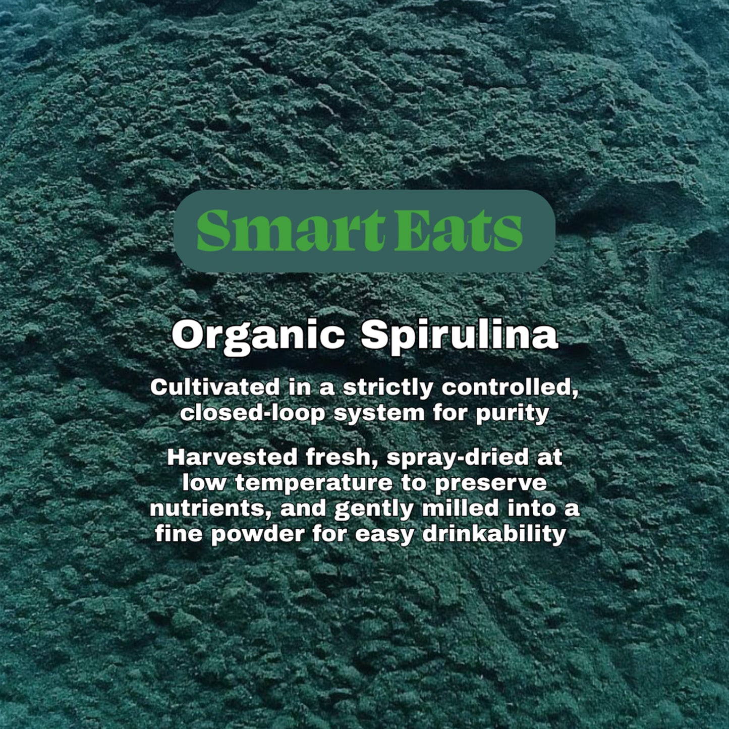 Green Spirulina (Organic) - Rich in Phycocyanin & Iron